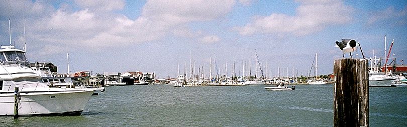 The marina at Port Aransas