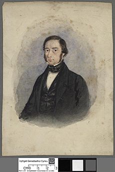 Portrait of John Johnes (4673754)