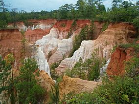 Providence Canyon from rim.jpg
