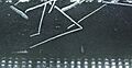 Radon220 decay in a cloud chamber