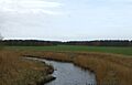 River Alt south of Formby - geograph.org.uk - 4007465