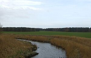 River Alt south of Formby - geograph.org.uk - 4007465