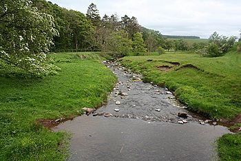 River Alwin near Clennell - geograph.org.uk - 465966.jpg