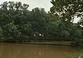 Rodrick Bridge, Spanning Wills Creek, Ostego vicinity (Coshocton County, Ohio)