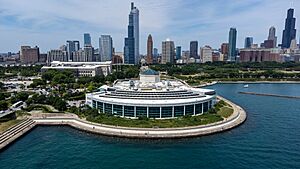 Shedd Aquarium S