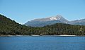 Shore of Lake Manapouri with Mt Titiroa in the background