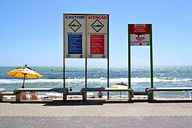 Signs warning of shark attacks at Boa Viagem Beach in Recife, Brazil