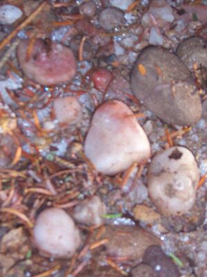 Slide quartz pebbles