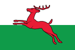 Smallingerland flag