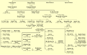 Stammbaum Familie Tulp