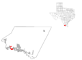 Starr County Roma