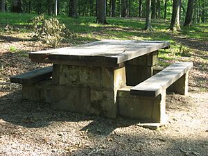Stone picnic table in the CCC picnic grounds at Jackson-Washington State Forest
