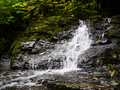 Stream cascades over bedrock on Kaien Island, British Columbia, Canada