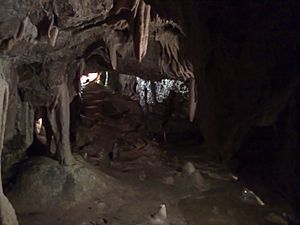 Stump Cross Caverns Facts for Kids