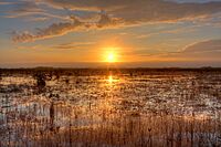 Sunset over the River of Grass, NPSphoto, G.Gardner (9255157507).jpg