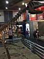 Szechuanosaurus at the Beijing Museum of Natural History