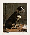 Terrier Seated (Boston Public Library)