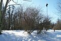 Tower Site Belmont Ohio