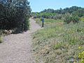 Trail at Rock Park, Castle Rock, CO IMG 5207