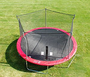 Trampoline with enclosure