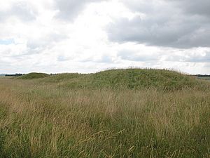 Tumulus group near Stonehenge - geograph.org.uk - 4307699