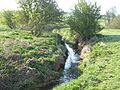 Upper Cherwell at Trafford House 6