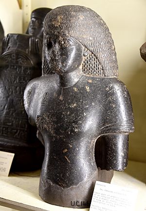 Upper part, figure of an official of Amenhotep III, from a double statue. From Bubastis (Tell-Basta), Egypt. From the Amelia Edwards Collection. The Petrie Museum of Egyptian Archaeology, London