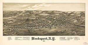 Weedsport, N.Y. 1885. LOC 75694869