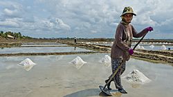 Woman working the salt fields in Kampot