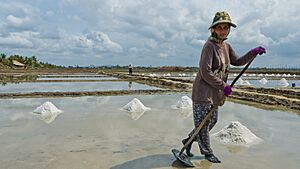 Woman working the salt fields in Kampot