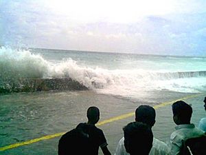 2004 Indian Ocean earthquake Maldives tsunami wave