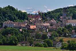 2011-05-29 15-15-50 Switzerland Kanton Zürich Andelfingen.jpg