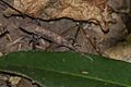 20150510-IMG 0786