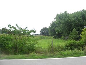 Aberdeen Mound from a distance