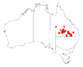 Acacia microspermaDistMap599