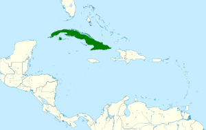 Antrostomus cubanensis map.svg