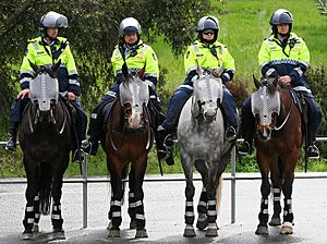 Australian Mounted Police Victoria-edit1