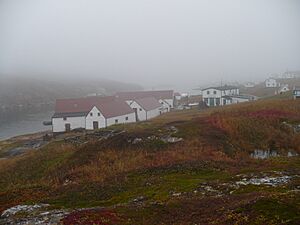 BattleHarbour Labrador 2008