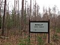 Berkley State Forest, Berkley MA