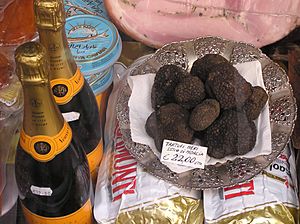Black.summer.truffle.arp