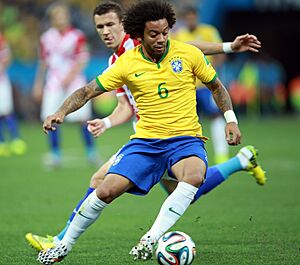 Brazil and Croatia match at the FIFA World Cup 2014-06-12 (53)