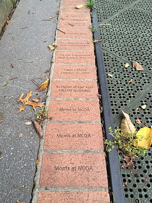 Brick Lining at Hadley's Park (Potomac, Maryland)
