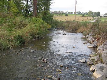Buffalo Creek (West Branch Susquehanna River).JPG