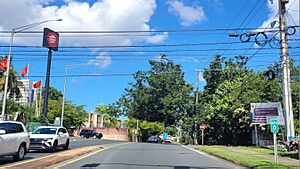 Puerto Rico Highway 841 between Frailes and Monacillo Urbano