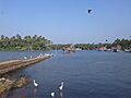 Chaliyam Harbour, Calicut
