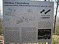 Chestenberg02