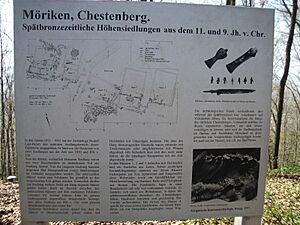 Chestenberg02