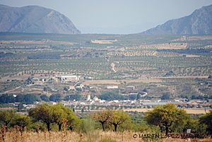 View of Chirivel
