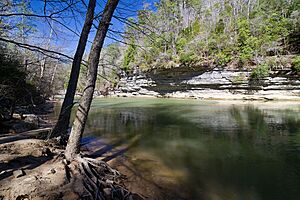 Clear Creek Bankhead NF