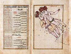Constellation Gemeaux - al-Sufi